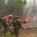 Pese a los esfuerzos, el incendio forestal en El Turbio sigue fuera de control
