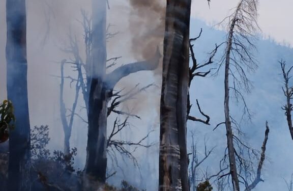 Con más de 100 personas, 6 medios aéreos y diferentes equipos, se busca controlar el incendio en El Turbio