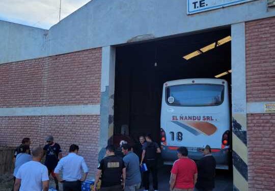 Fiscalía investiga presunta comercialización ilegal de carne de guanaco y realizó allanamientos en Trelew
