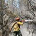Luque presentó un proyecto de ley para crear un régimen jubilatorio especial para brigadistas que combaten incendios forestales