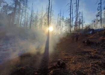 Piden ayuda para Manu, vecino de Lago Puelo gravemente herido mientras colaboraba en los incendios