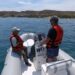El Gobierno del Chubut realiza controles y fiscalización en el Área Natural Protegida Península Valdés