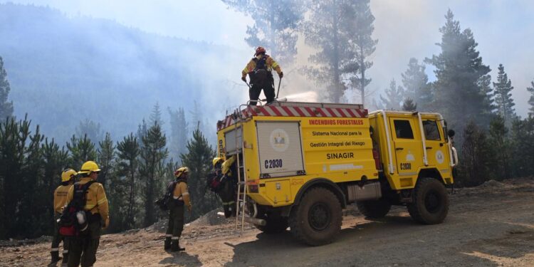 Con más de 230 personas y 6 medios aéreos, continúa el fuerte operativo para controlar el incendio en Puerto Patriada