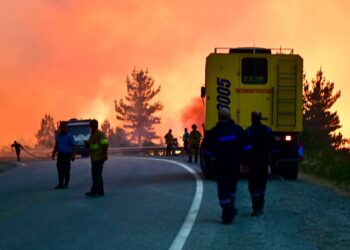 El incendio en Puerto Patriada ya afectó casi 12.000 hectáreas