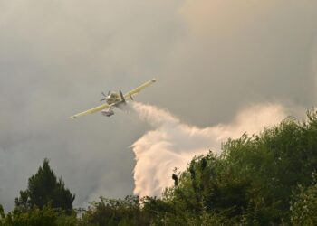 Cerca de 500 personas y 8 medios aéreos combaten el incendio forestal en Puerto Patriada