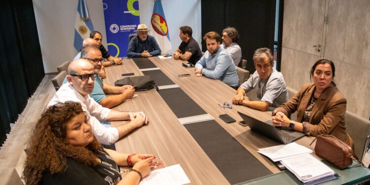 Macharashvili convocó a los vecinalistas de Sismográfica y Mosconi para informar acerca del estado de situación del cerro Hermitte