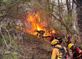 Provincia y Nación intensifican el operativo para combatir el incendio forestal en el Parque Los Alerces