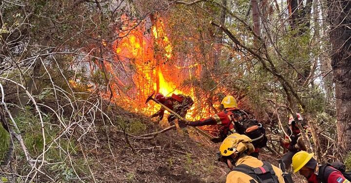 Provincia y Nación intensifican el operativo para combatir el incendio forestal en el Parque Los Alerces