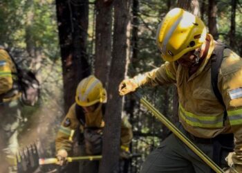 El incendio de Los Alerces sigue activo, el de Puerto Patriada está contenido