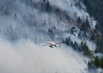 Incendios forestales: Provincia refuerza el despliegue de brigadistas y medios aéreos en Villa Lago Rivadavia