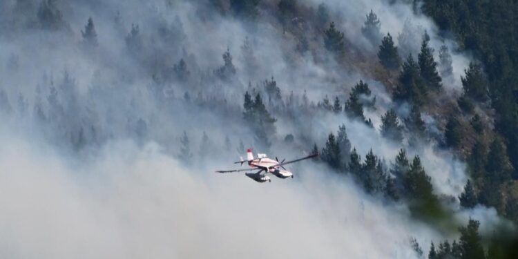 Incendios forestales: Provincia refuerza el despliegue de brigadistas y medios aéreos en Villa Lago Rivadavia