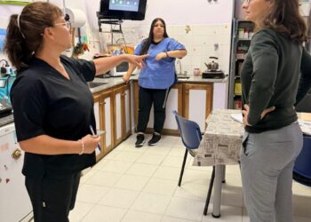 Provincia activó medidas de alivio fiscal y gestionó beneficios ante Nación para damnificados de la Cordillera y Comodoro