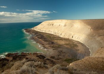 Punta Marqués cumple 40 años y lo celebra en comunidad
