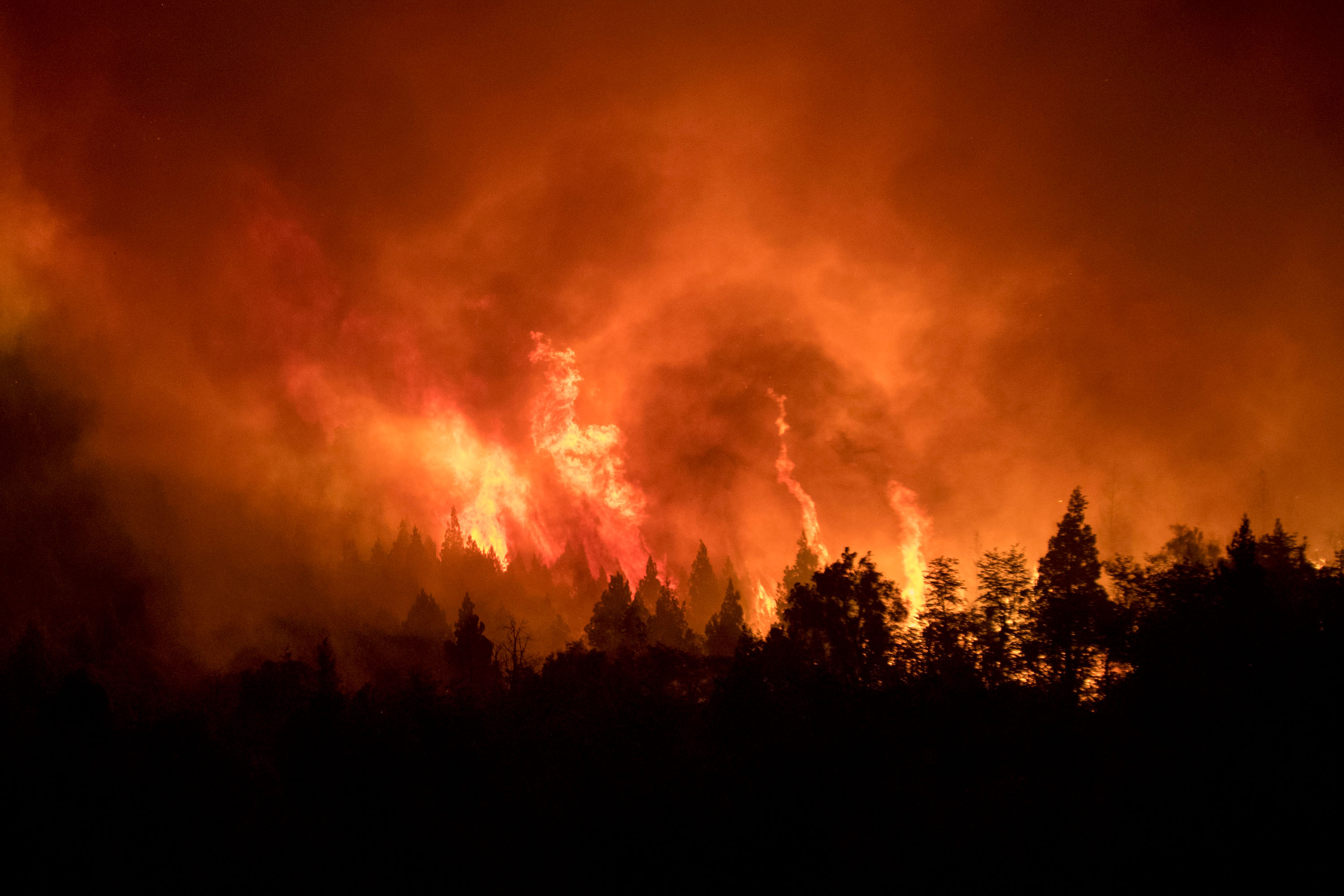 Greenpeace aseguró que la emergencia ígnea es tardía e hipócrita
