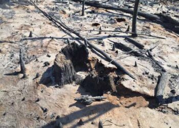 Incendio en Puerto Patriada: Avanza la investigación de la Fiscalía de Lago Puelo