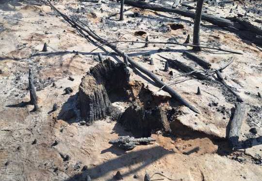 Incendio en Puerto Patriada: Avanza la investigación de la Fiscalía de Lago Puelo