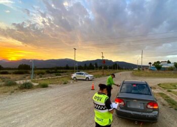 Verano Seguro: Provincia destacó la reducción de alcoholemias positivas durante las fiestas