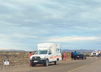 Susto en la Ruta 26 tras el impacto de un vehículo contra un guanaco