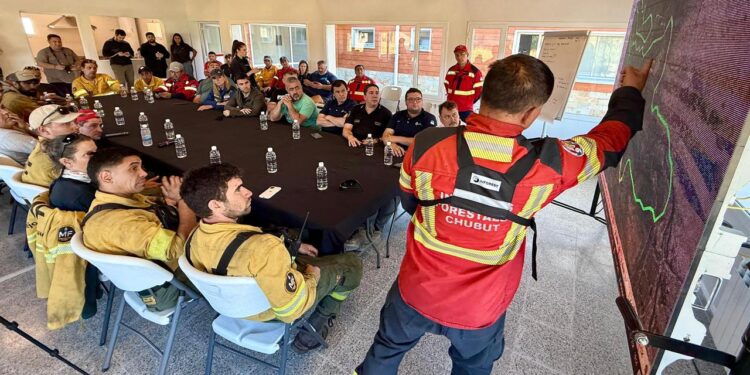 Las hectáreas arrasadas ya son más de 13.600