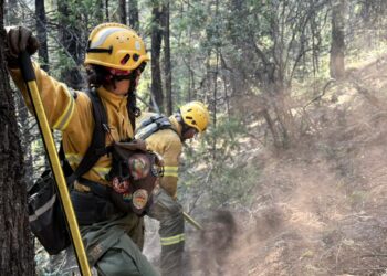 Incendio en el Parque Nacional: bomberos voluntarios de Chile se suman a los más de 500 brigadistas provinciales y nacionales