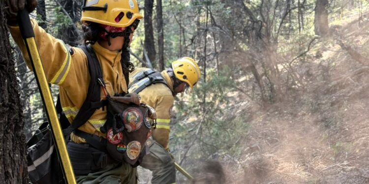 Incendio en el Parque Nacional: bomberos voluntarios de Chile se suman a los más de 500 brigadistas provinciales y nacionales