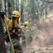 Incendio en el Parque Nacional: bomberos voluntarios de Chile se suman a los más de 500 brigadistas provinciales y nacionales