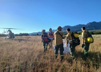 Incendio en el Parque Nacional Lanín: el foco en R20 Yeguadas se mantiene contenido