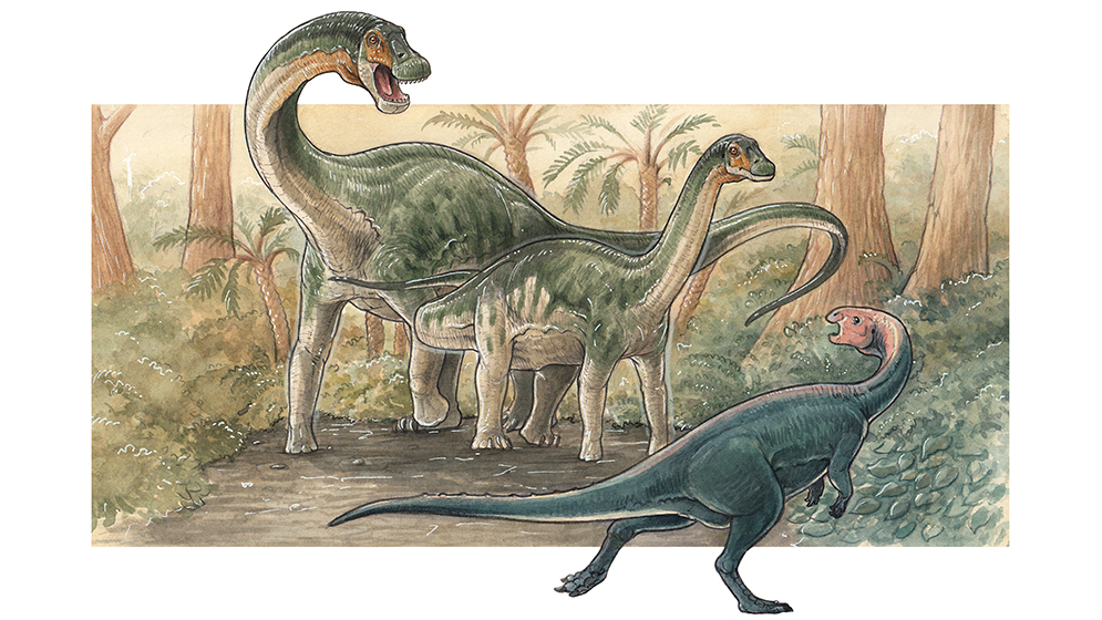 Científicos del CONICET descubren en Neuquén a Yeneen houssayi: una nueva especie de dinosaurio saurópodo que vivió hace aproximadamente 83 millones de años