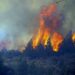 Se reactivaron los incendios, Cholila cercada por el fuego