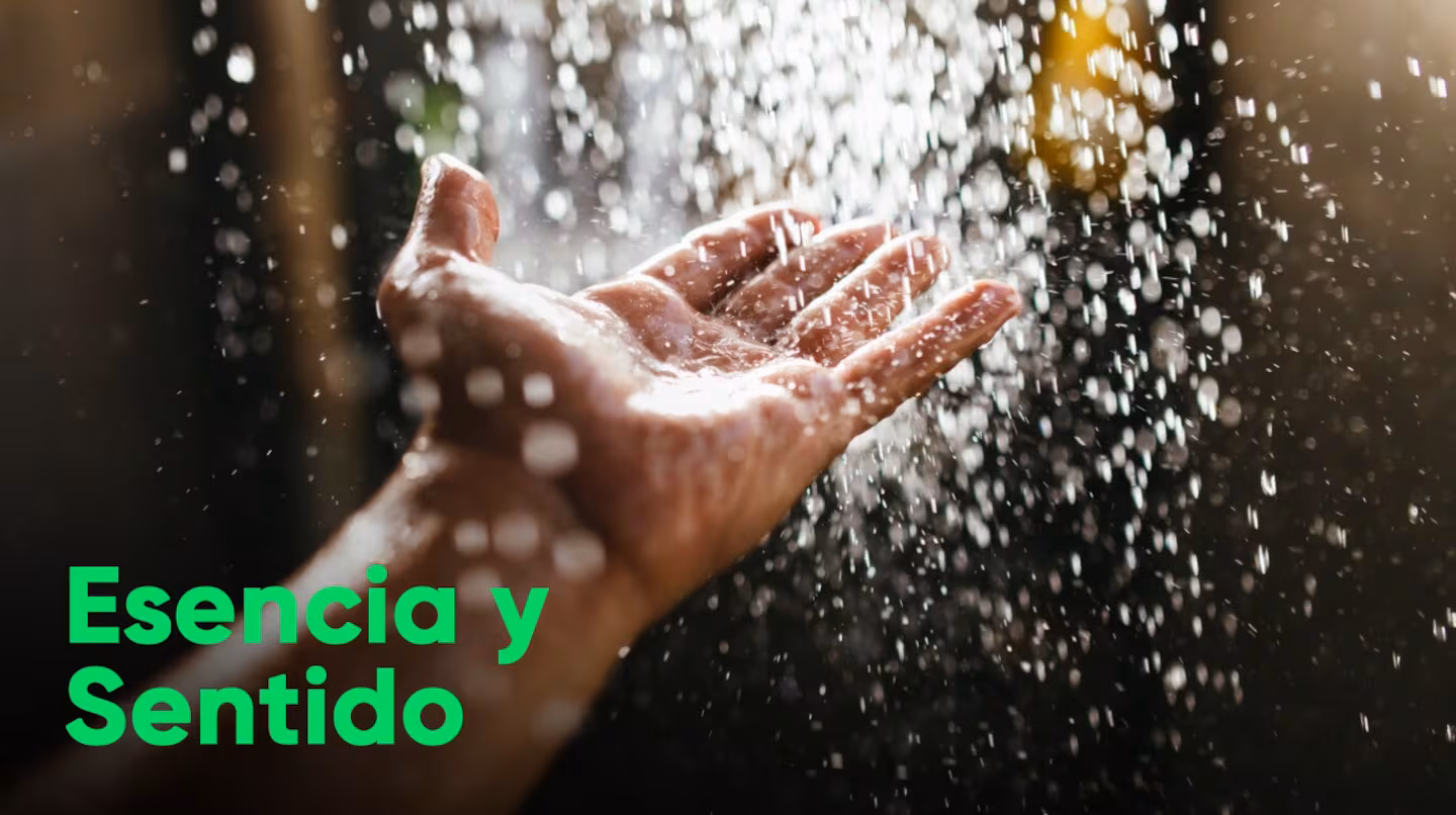 Tesoro nacional: ¿sabés cuáles son los recursos naturales de Argentina?