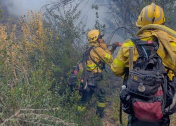 El Parque Nacional Lanín combatió 21 incendios forestales desde fines de octubre