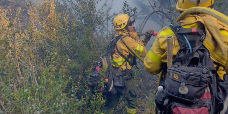 El Parque Nacional Lanín combatió 21 incendios forestales desde fines de octubre