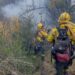 El Parque Nacional Lanín combatió 21 incendios forestales desde fines de octubre