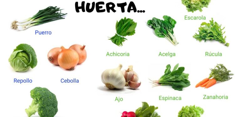 INTA recomienda armar almácigos en febrero y marzo para huertas en la Patagonia árida