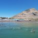 Plataforma líder global de excursiones busca impulsar a prestadores turísticos de Comodoro Rivadavia