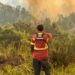 Con cerca de 500 personas continúa con el combate de incendios en la cordillera