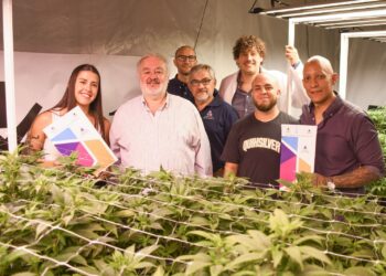 Impulsan Planta Piloto de Aceite Cannábico para uso veterinario