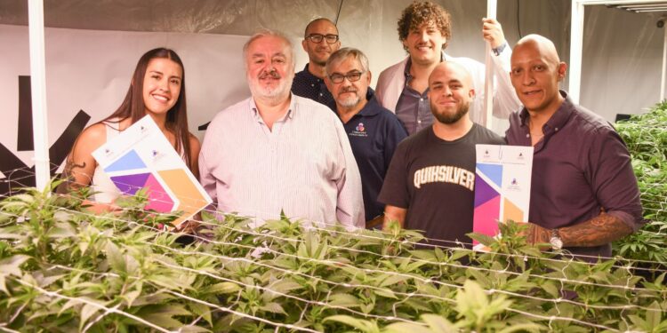 Impulsan Planta Piloto de Aceite Cannábico para uso veterinario