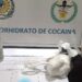 Importante operativo policial permitió desarticular cinco puntos de venta de drogas en Trelew