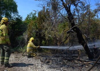 Provincia intensifica los operativos para combatir los incendios en la Cordillera y dispuso el cierre temporal de un tramo de la ruta 71