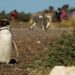 Chubut registró durante enero más de 80.000 visitas a las Áreas Naturales Protegidas
