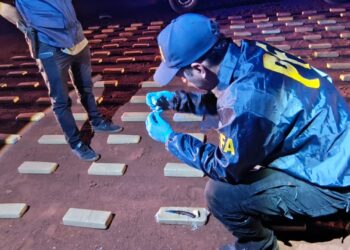 Incautaron 200 kilos de marihuana en Misiones durante un operativo del Plan Guaçurarí