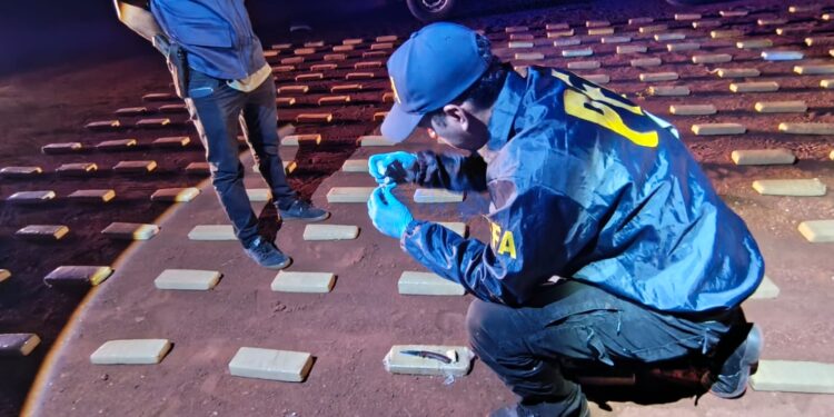 Incautaron 200 kilos de marihuana en Misiones durante un operativo del Plan Guaçurarí