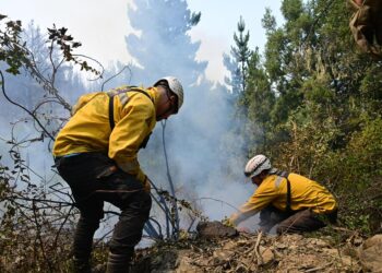Se sigue trabajando contra el fuego en Puero Patriada