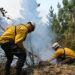 Se sigue trabajando contra el fuego en Puero Patriada