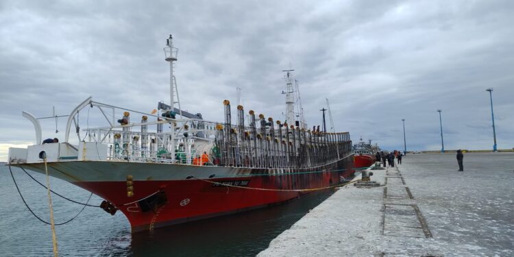 El buque potero “Fu Yuan Yu 7666” abrió la temporada de calamar en Comodoro