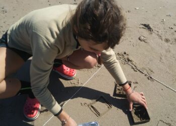 Estudio del CENPAT analizó por primera vez la contaminación por partículas plásticas en todo el Golfo Nuevo