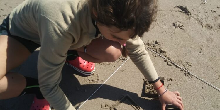 Estudio del CENPAT analizó por primera vez la contaminación por partículas plásticas en todo el Golfo Nuevo