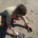 Estudio del CENPAT analizó por primera vez la contaminación por partículas plásticas en todo el Golfo Nuevo
