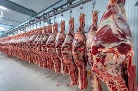 EEUU elimina aranceles recíprocos y quintuplica el acceso de la carne vacuna de Argentina